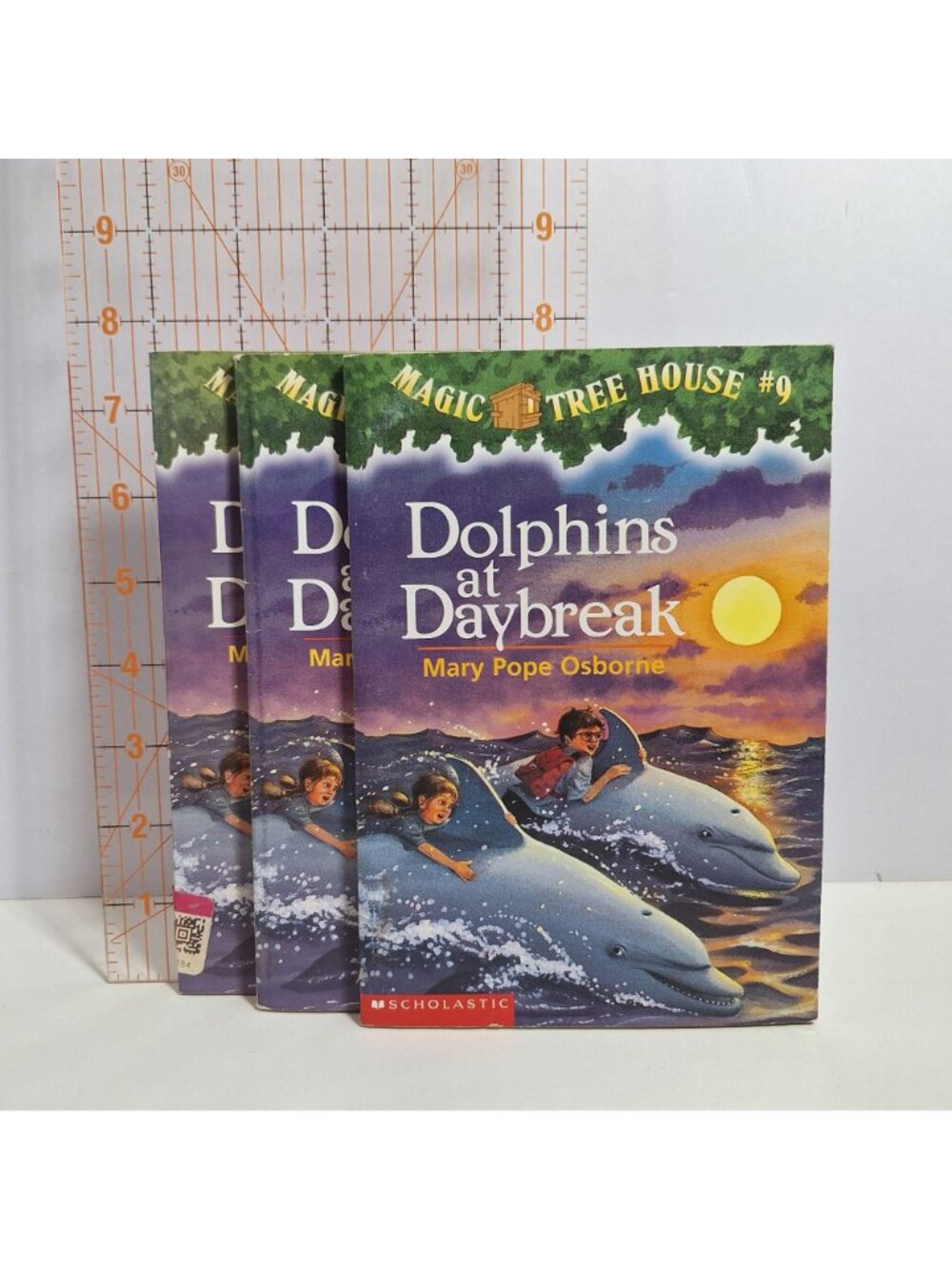 Magic Tree House Dolphins At Daybreak Mary Pope Osborne 3 Book Lot - Picture 10 of 10